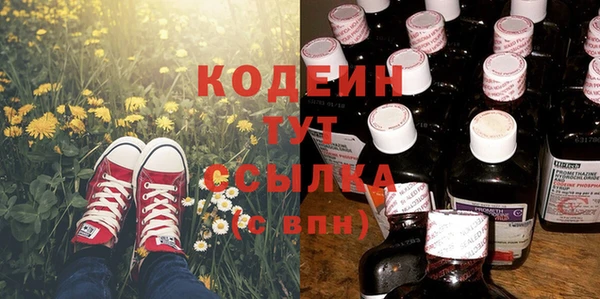 трава Арсеньев