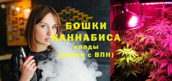 трава Арсеньев