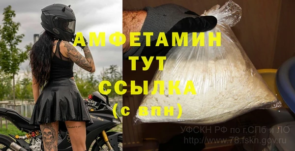винт Аркадак